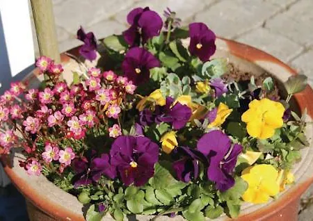 Holiday home Brombaervangen Ii